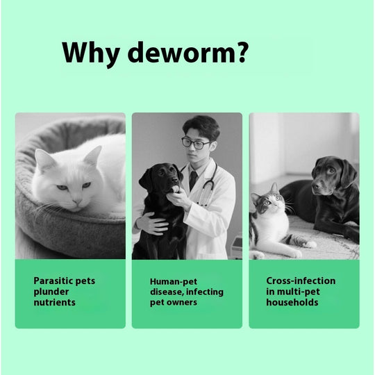 Pet Itching Relief Health Care Products